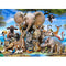 puzzle-1000-pieces-animaux-safari